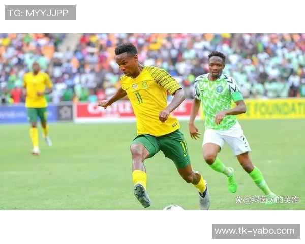 南非主帅批评非洲杯气氛冷淡新球场美观却组织混乱