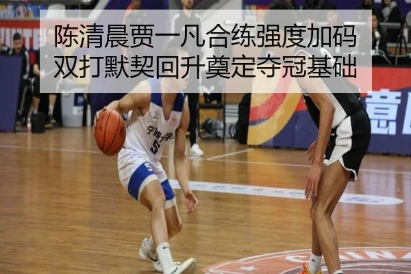 陈清晨贾一凡合练强度加码 双打默契回升奠定夺冠基础(yabo)